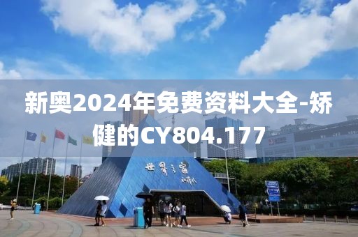 新奧2024年免費(fèi)資料大全-矯健的CY804.177