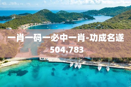 一肖一碼一必中一肖-功成名遂 504.783