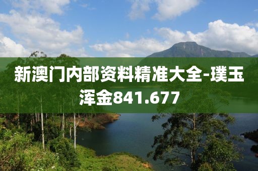 新澳門內部資料精準大全-璞玉渾金841.677