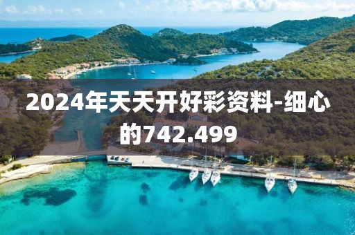 2024年天天開好彩資料-細心的742.499