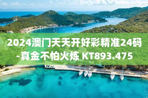 2024澳門天天開好彩精準24碼-真金不怕火煉 KT893.475