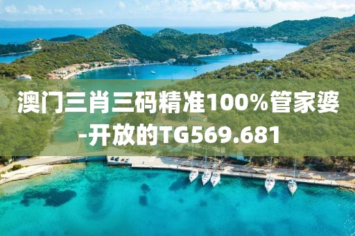 澳門三肖三碼精準100%管家婆-開放的TG569.681