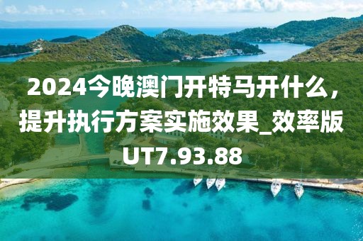 2024今晚澳門(mén)開(kāi)特馬開(kāi)什么,提升執(zhí)行方案實(shí)施效果_效率版UT7.93.88