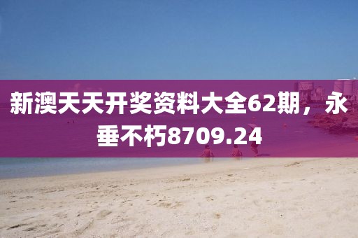 新澳天天開獎資料大全62期，永垂不朽8709.24