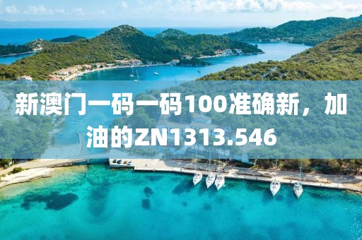 新澳門一碼一碼100準確新，加油的ZN1313.546