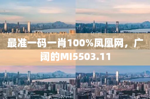 最準一碼一肖100%鳳凰網，廣闊的MI5503.11