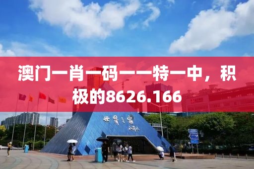 澳門(mén)一肖一碼一一特一中，積極的8626.166