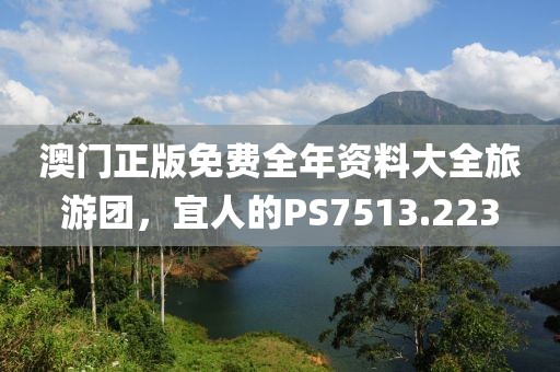 澳門正版免費全年資料大全旅游團,宜人的PS7513.223
