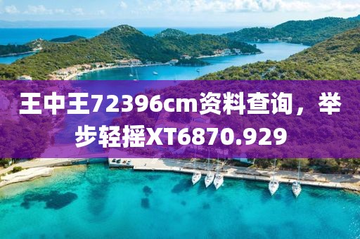 王中王72396cm資料查詢，舉步輕搖XT6870.929