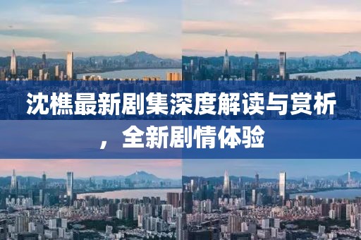 沈樵最新劇集深度解讀與賞析,全新劇情體驗