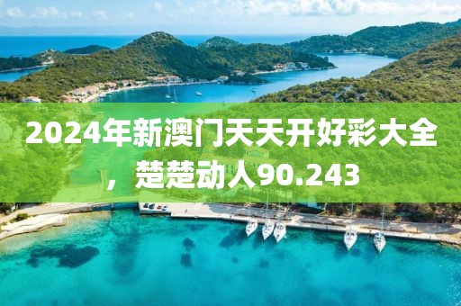 2024年新澳門天天開好彩大全,楚楚動人90.243