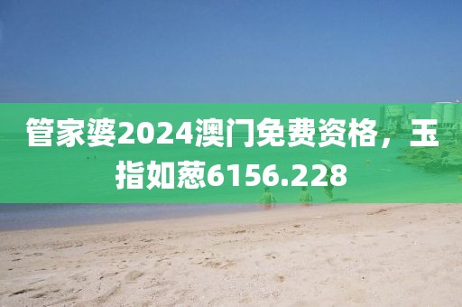 管家婆2024澳門免費資格，玉指如蔥6156.228