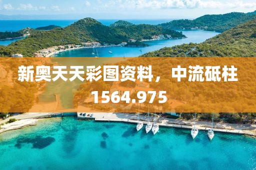 新奧天天彩圖資料,中流砥柱1564.975