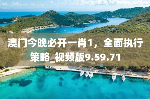 澳門今晚必開一肖1,全面執行策略_視頻版9.59.71