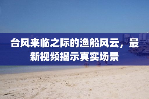 臺風來臨之際的漁船風云,最新視頻揭示真實場景