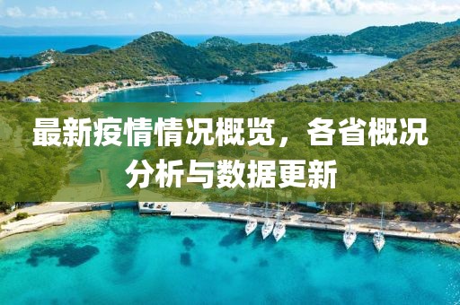 最新疫情情況概覽，各省概況分析與數據更新
