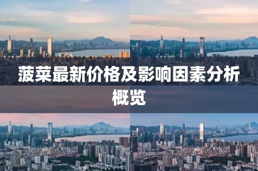 菠菜最新價(jià)格及影響因素分析概覽