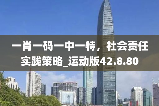 一肖一碼一中一特，社會責任實踐策略_運動版42.8.80