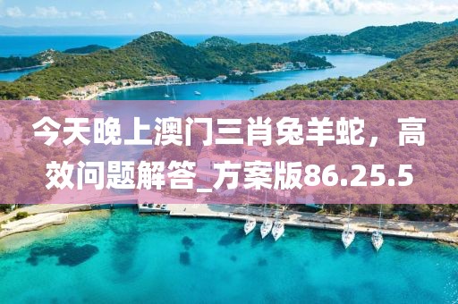 今天晚上澳門三肖兔羊蛇,高效問(wèn)題解答_方案版86.25.5