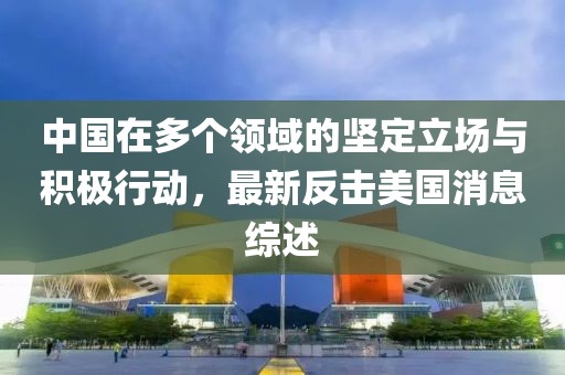 中國(guó)在多個(gè)領(lǐng)域的堅(jiān)定立場(chǎng)與積極行動(dòng)，最新反擊美國(guó)消息綜述