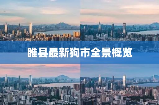 睢縣最新狗市全景概覽