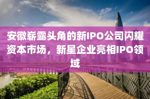 安徽嶄露頭角的新IPO公司閃耀資本市場，新星企業亮相IPO領域