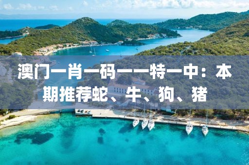 澳門一肖一碼一一特一中：本期推薦蛇、牛、狗、豬