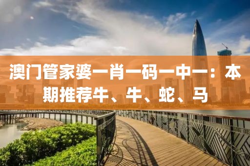 澳門管家婆一肖一碼一中一：本期推薦牛、牛、蛇、馬