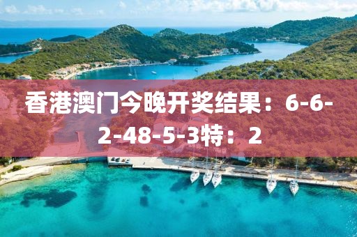 香港澳門今晚開獎結果：6-6-2-48-5-3特：2