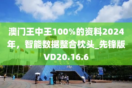 澳門王中王100%的資料2024年，智能數據整合枕頭_先鋒版VD20.16.6