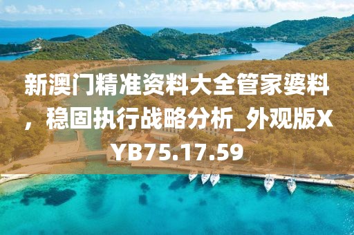 新澳門精準資料大全管家婆料，穩固執行戰略分析_外觀版XYB75.17.59