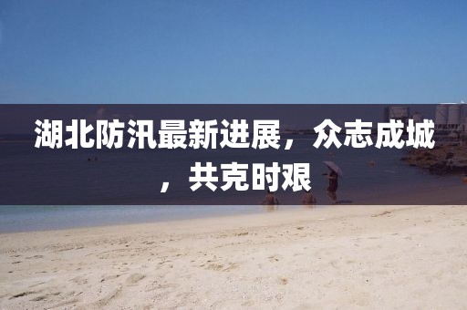 湖北防汛最新進展,眾志成城,共克時艱