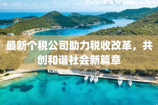 最新個稅公司助力稅收改革，共創(chuàng)和諧社會新篇章