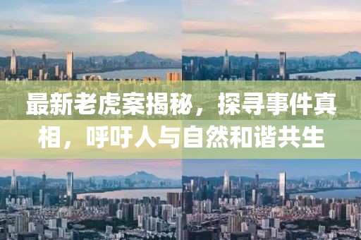 最新老虎案揭秘，探尋事件真相，呼吁人與自然和諧共生