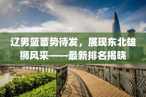 遼男籃蓄勢待發(fā)，展現(xiàn)東北雄獅風采——最新排名揭曉