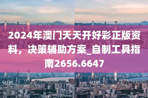 2024年澳門天天開好彩正版資料，決策輔助方案_自制工具指南2656.6647