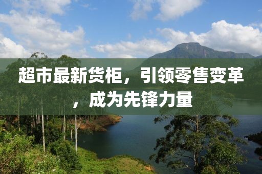 超市最新貨柜，引領(lǐng)零售變革，成為先鋒力量