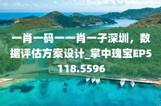 一肖一碼一一肖一子深圳,數據評估方案設計_掌中瑰寶EP5118.5596