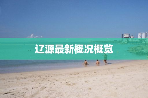 遼源最新概況概覽