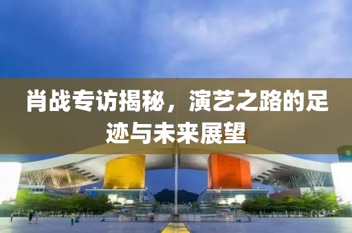 肖戰(zhàn)專訪揭秘，演藝之路的足跡與未來展望