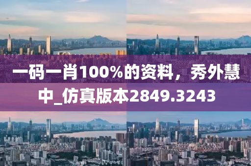 一碼一肖100%的資料,秀外慧中_仿真版本2849.3243