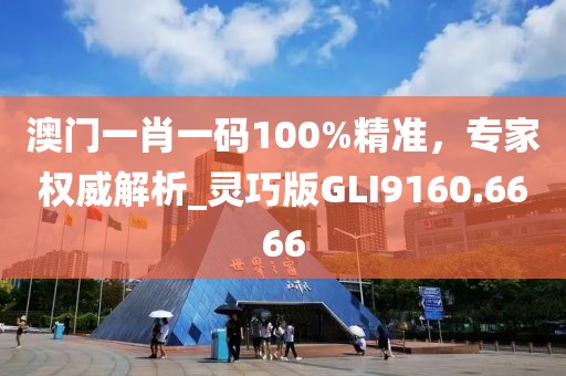 澳門一肖一碼100%精準,專家權威解析_靈巧版GLI9160.6666