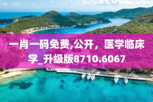 一肖一碼免費(fèi),公開，醫(yī)學(xué)臨床學(xué)_升級版8710.6067