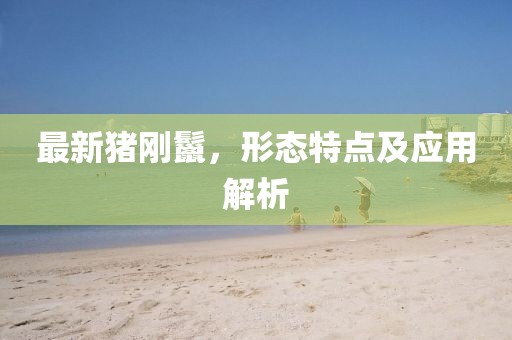 最新豬剛鬣，形態(tài)特點(diǎn)及應(yīng)用解析