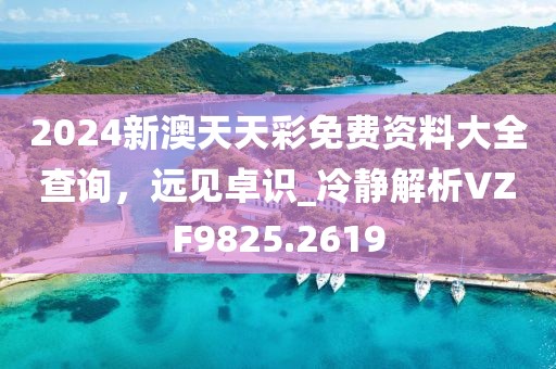 2024新澳天天彩免費(fèi)資料大全查詢,遠(yuǎn)見(jiàn)卓識(shí)_冷靜解析VZF9825.2619