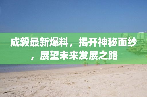 成毅最新爆料，揭開神秘面紗，展望未來發展之路