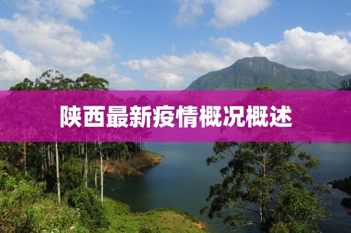 陜西最新疫情概況概述