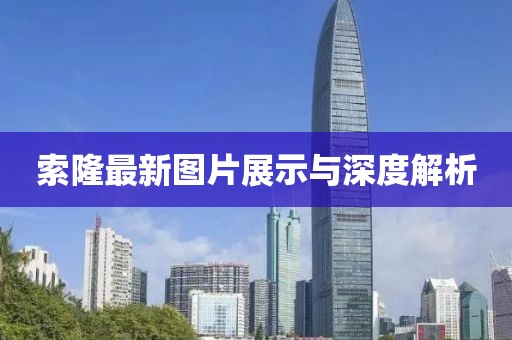 索隆最新圖片展示與深度解析