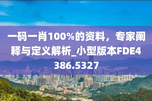 一碼一肖100%的資料，專家闡釋與定義解析_小型版本FDE4386.5327