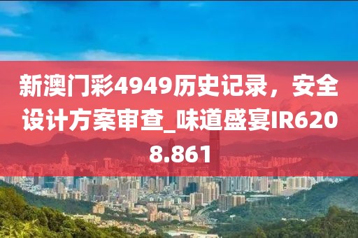 新澳門彩4949歷史記錄，安全設計方案審查_味道盛宴IR6208.861